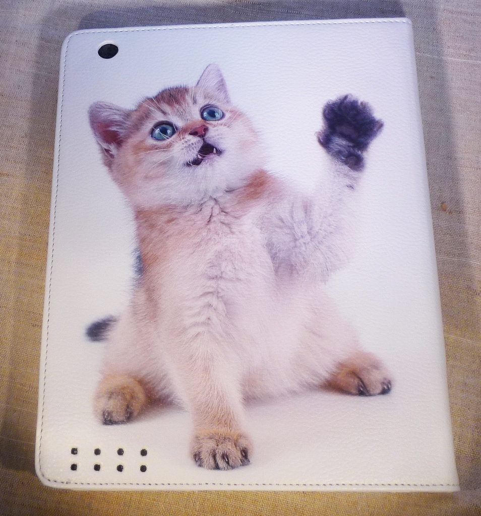 Case-New-ipad-kitty.JPG